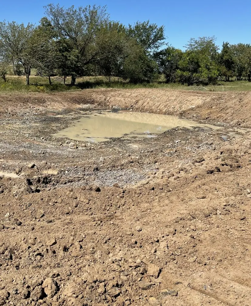 Old pond basin dug out with water in the bottom, trees around it